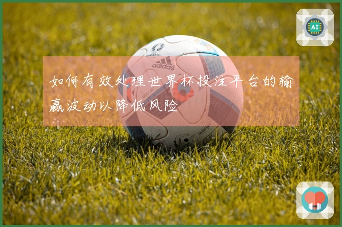 如何有效处理世界杯投注平台的输赢波动以降低风险