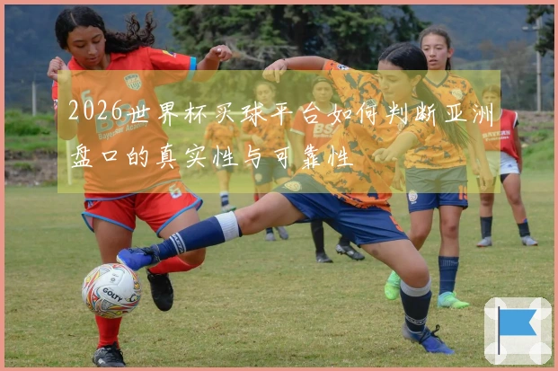 2026世界杯买球平台如何判断亚洲盘口的真实性与可靠性