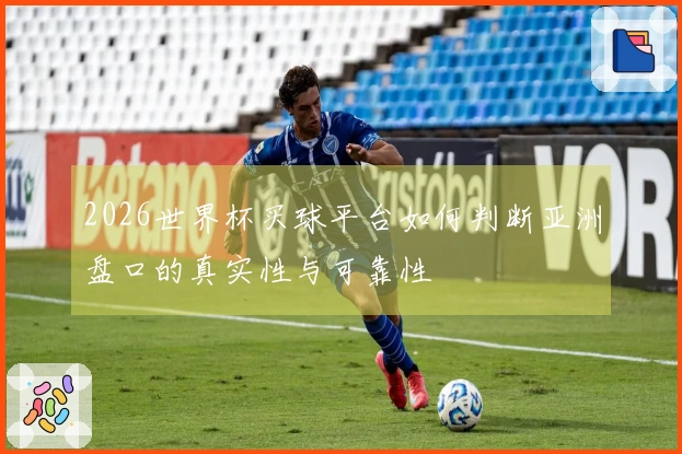 2026世界杯买球平台如何判断亚洲盘口的真实性与可靠性